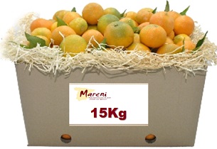 15 kg Mandarinen frisch gepflückt
