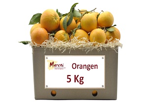 5 kg Orangen - frisch gepflückt