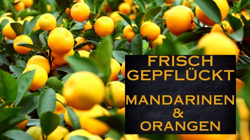 Mandarinen und Orangen online bestellen
