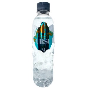 Ursu - Agua Mineral Natural Alcalina - natürliches Mineralwasser Ph alkalisch - 500 ml PET